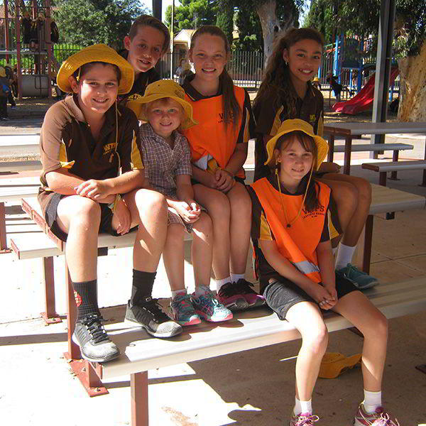 Felton Bolt Down Park Setting at Whyalla Town Primary