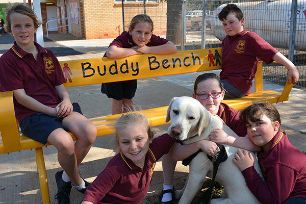 Felton Buddy Bench at Trundle Central School