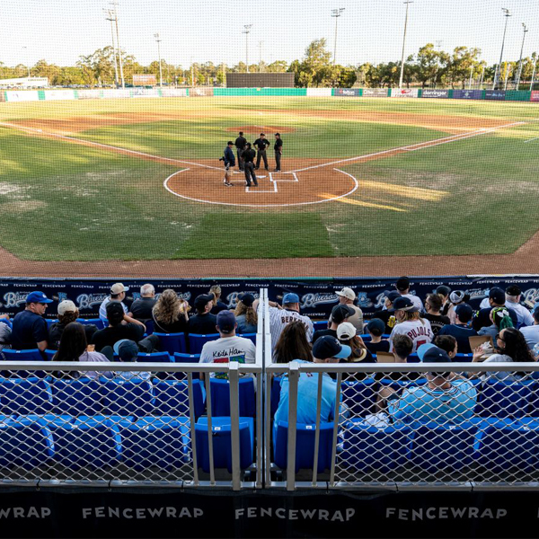 Blue Sox 1_600x600px